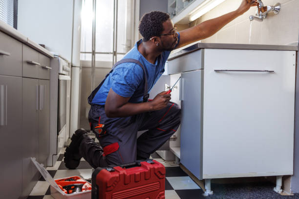Best Same-Day Plumbing Service  in Dunlap, IL